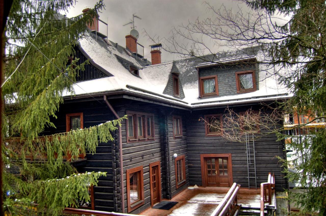Willa Silesia Висла Экстерьер фото